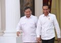 Nir-gejolak, Transisi Pemerintahan Jokowi ke Prabowo