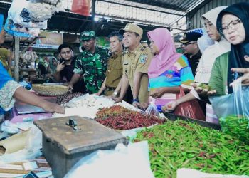 Bupati Pringsewu Tinjau Pasar Gading, Pastikan Stok Bahan Pokok Aman Jelang Lebaran