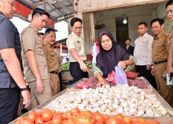 Harga Bahan Pokok di Lampung Selatan Stabil Jelang Idulfitri, Bupati Egi: Alhamdulillah, Bahkan Ayam Malah Turun Harga!