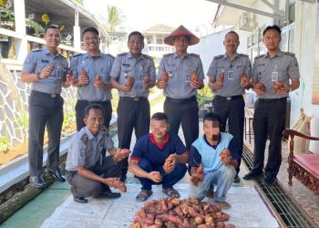 Lapas Kalianda Ciptakan Kesempatan Baru: Panen Ubi Jadi Langkah Inovatif Ketahanan Pangan