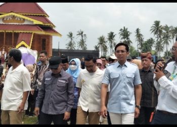 Jungle Sea Kalianda Resmi Dibuka, Tawarkan Sensasi Wisata Pesisir Pertama di Lampung