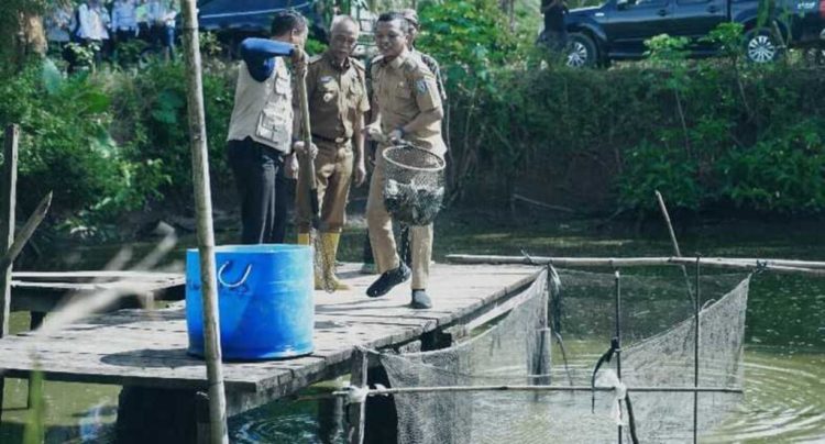 Dorong Ekonomi Perikanan, Bupati Pringsewu Panen Ikan Nila Bersama Pokdakan Widya Mandala