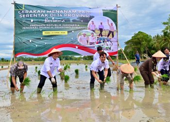 Lampung Selatan Ambil Peran Strategis dalam Gerakan Nasional Tanam Padi Serentak