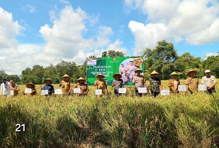 Bupati & Wabup Pringsewu Pimpin Panen Raya Padi Serentak, Dorong Ketahanan Pangan