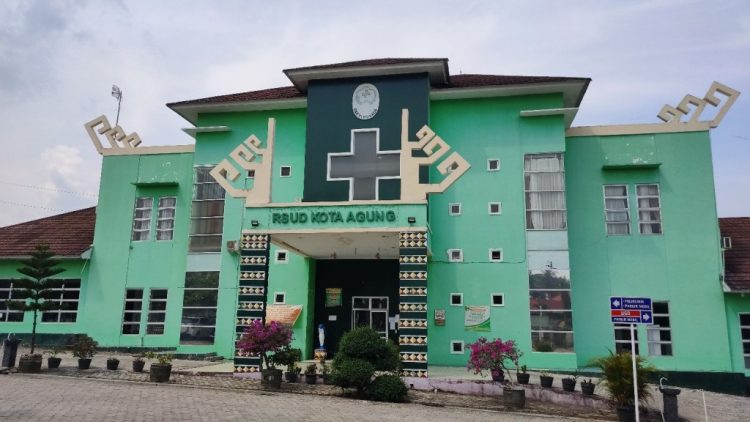 Pemkab Tanggamus Respon Cepat Terkait Keterlambatan Pembayaran Jasa Pelayanan RSUD BM, Komitmen Disampaikan dalam Audiensi