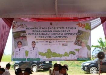 Ketua HNSI Lampung Puji Langkah Gubernur: Tanam Ribuan Mangrove dan Inovasi Pemecah Ombak di Pesawaran