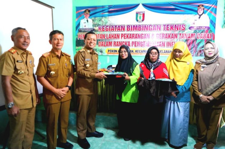 Bupati Pringsewu Canangkan Gerakan Tanam Cabai Serentak, Dorong Ketahanan Pangan dan Ekonomi Lokal