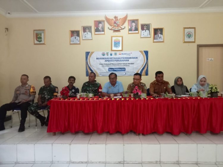 Desa Sidodadi Dorong Ketahanan Pangan melalui Program Jagung dan KJA