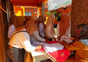 Naik Kelas! Pemkab Tanggamus Gelar Pelatihan Legalitas UMKM untuk Dorong Daya Saing