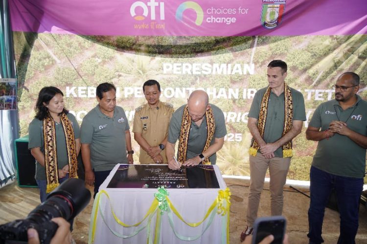 Dorong Pertanian Kakao Berkelanjutan, Program Cocoa Life Luncurkan Kebun Percontohan CASDI di Pringsewu