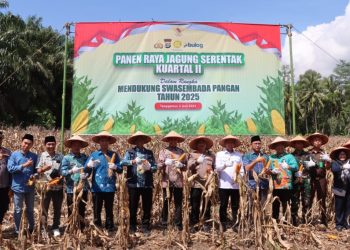 Panen Raya Jagung dan Groundbreaking Gudang Penyimpanan: Tanggamus Mantapkan Langkah Menuju Swasembada Pangan