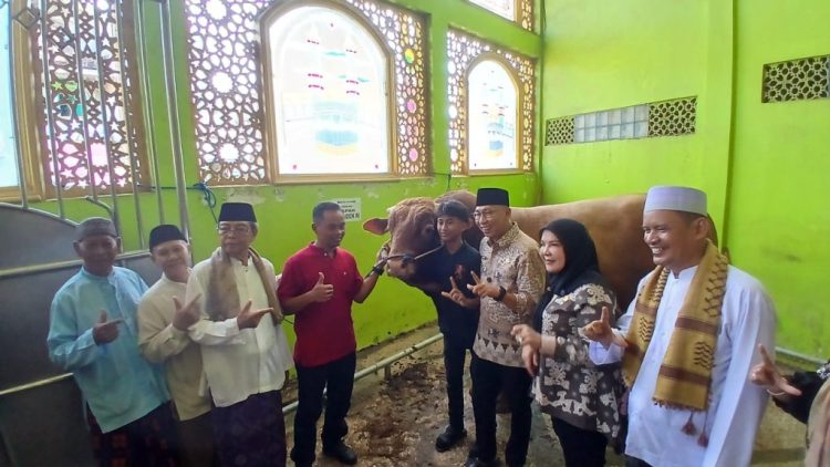 Wujud Kepedulian Presiden, Gubernur Lampung Salurkan Sapi Qurban untuk Masyarakat