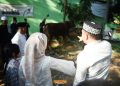 Idul Adha di Pesawaran: Harmoni Iman, Pengorbanan, dan Kebersamaan di Tengah Takbir