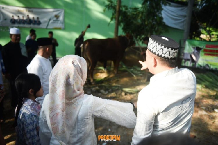 Idul Adha di Pesawaran: Harmoni Iman, Pengorbanan, dan Kebersamaan di Tengah Takbir