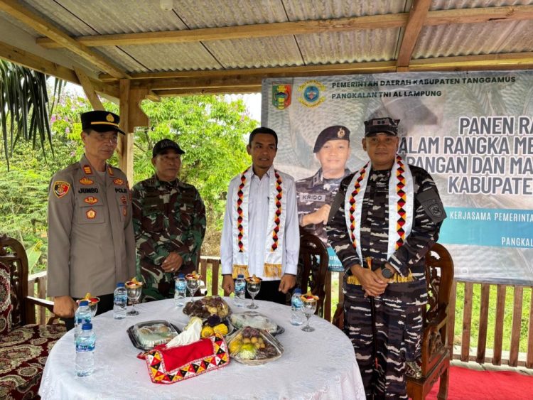 Panen Raya Ikan Nila di Tanggamus, Bukti Sinergi TNI AL dan Pemkab Dorong Ketahanan Pangan