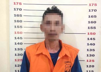 Aksi Curanmor Sapi Digagalkan! Tekab 308 Kalianda Tangkap Pelaku dan Amankan Sapi Metal Rp12 Juta