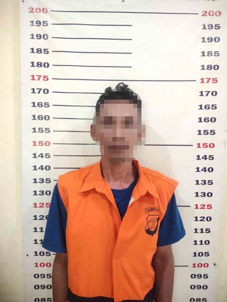 Aksi Curanmor Sapi Digagalkan! Tekab 308 Kalianda Tangkap Pelaku dan Amankan Sapi Metal Rp12 Juta