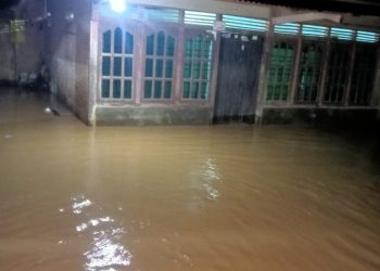 Diguyur Hujan Deras, Tiga Pekon di Pardasuka Terendam Banjir: Puluhan Rumah dan Jalan Raya Tergenang