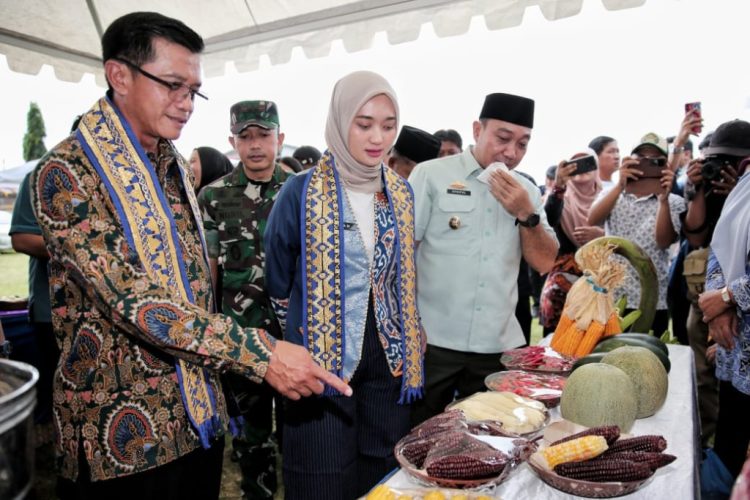Program Desaku Maju Lampung Tuai Apresiasi Kemenko PM: Desa Jadi Garda Depan Ketahanan Ekonomi