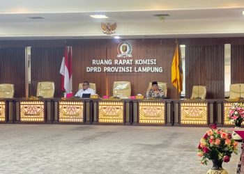 HIPMI Dukung Raperda Insentif Investasi Pemprov Lampung: Dorong Pertumbuhan Pengusaha Muda dan UMKM