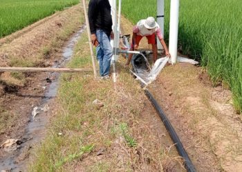Sumur Bor Bantu Petani Hadapi Kemarau, Gapoktan Bumiratu Apresiasi Langkah Nyata Pemerintah Desa