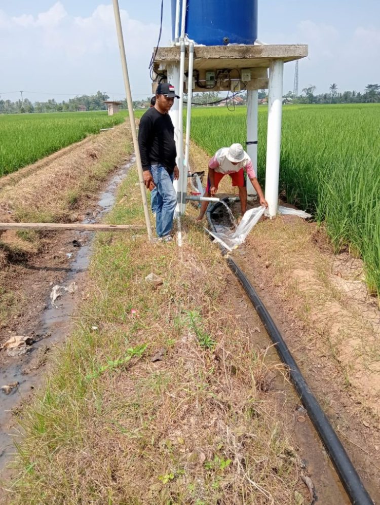 Sumur Bor Bantu Petani Hadapi Kemarau, Gapoktan Bumiratu Apresiasi Langkah Nyata Pemerintah Desa