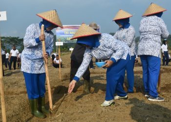 Lanal Lampung Tanam Kedelai Migo AL 1-89, Dukung Ketahanan Pangan Nasional