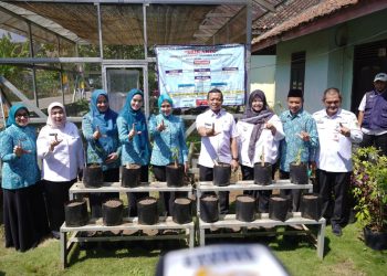 Ketua TP PKK Provinsi Lampung Kunjungi Pringsewu, Dorong Desa Tapis Jadi Model Kesejahteraan Keluarga