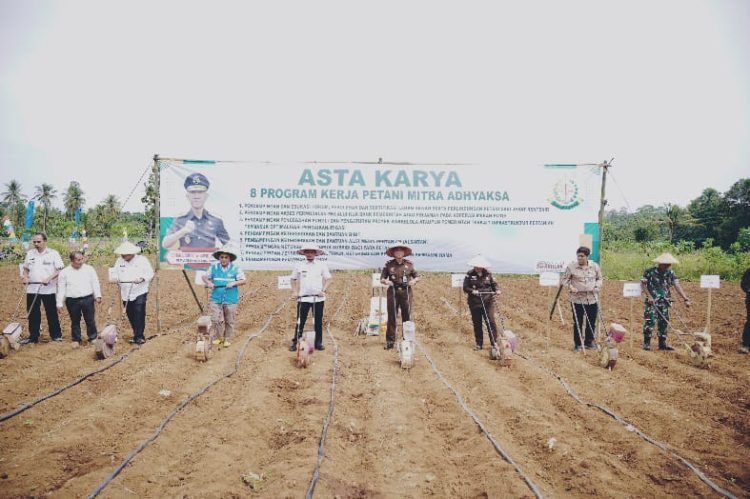 Pringsewu Tingkatkan Produksi Jagung dan Perkuat UMKM Mitra Adhyaksa