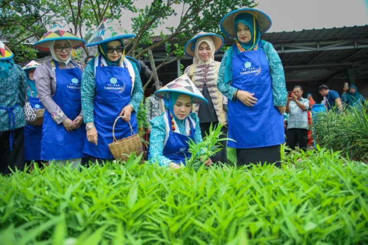 Desa TAPIS Resmi Hadir di Tanggamus: PKK Provinsi Lampung Dorong Kesejahteraan dari Akar Desa