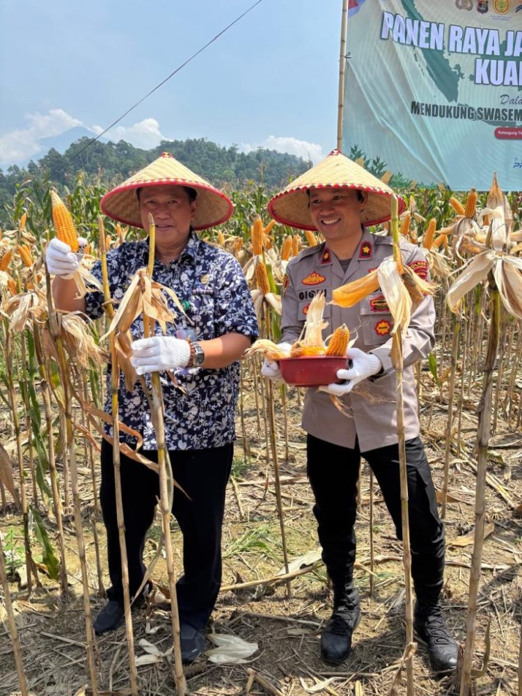 Polres Tanggamus Gelar Panen Jagung Kuartal III 2025, Bupati dan Forkopimda Turut Hadir Dukung Ketahanan Pangan