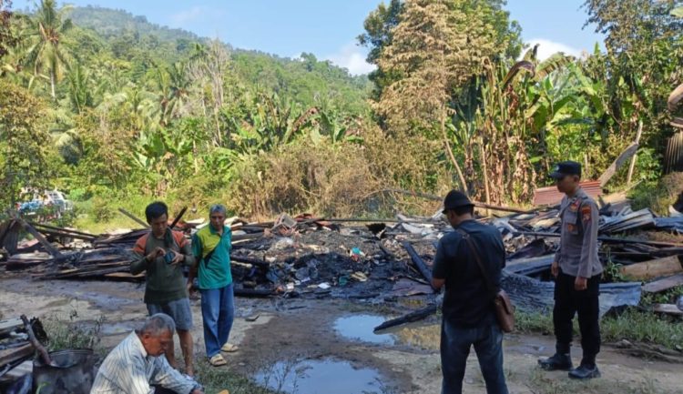 Kebakaran Hebat di Pekon Sukajaya Tanggamus, Rumah Petani Ludes Dilalap Api