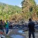 Kebakaran Hebat di Pekon Sukajaya Tanggamus, Rumah Petani Ludes Dilalap Api