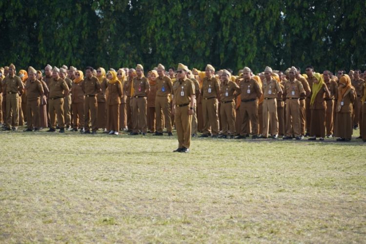 Menuju Lampung Lumbung Pangan Nasional, Gubernur Dorong Perkebunan Berkelanjutan dan Hilirisasi Komoditas Strategis