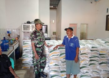 Pekon Banyumas Salurkan 6,06 Ton Beras Bulog untuk 303 Keluarga, Bentuk Nyata Kepedulian terhadap Warga