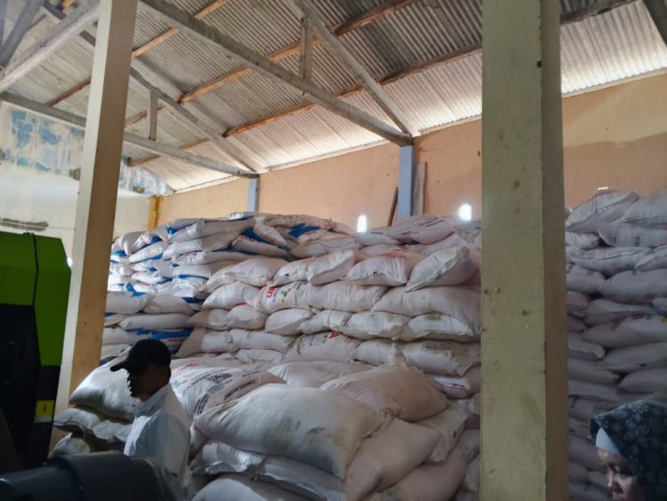Dinas Pertanian Pringsewu Awasi Ketat Harga Pupuk Subsidi: Kios Langgar Aturan Terancam Ditutup