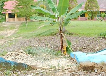 Hari Sabtu SDN 3 Rejomulyo Sepi, Pagar Rubuh dan Sekolah Kosong: Ada Apa dengan Sekolah di Tengah Perkebunan?