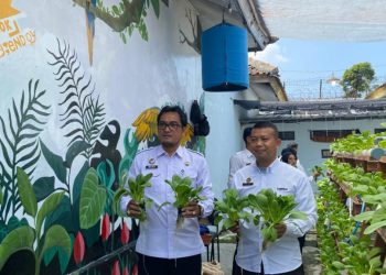 Panen Pakcoy di Lapas Kalianda: Program Hidroponik yang Mengubah Hidup Warga Binaan dan Menjadi Inspirasi Pembinaan Modern