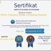BNNK Lampung Selatan Raih Penghargaan Prestisius, Bukti Dedikasi Tinggi dalam Pelayanan Rehabilitasi Narkoba