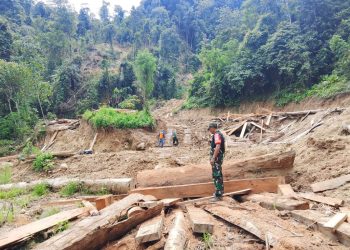 Dishut Lampung Klarifikasi Dugaan Penebangan Lahan di Pesisir Barat