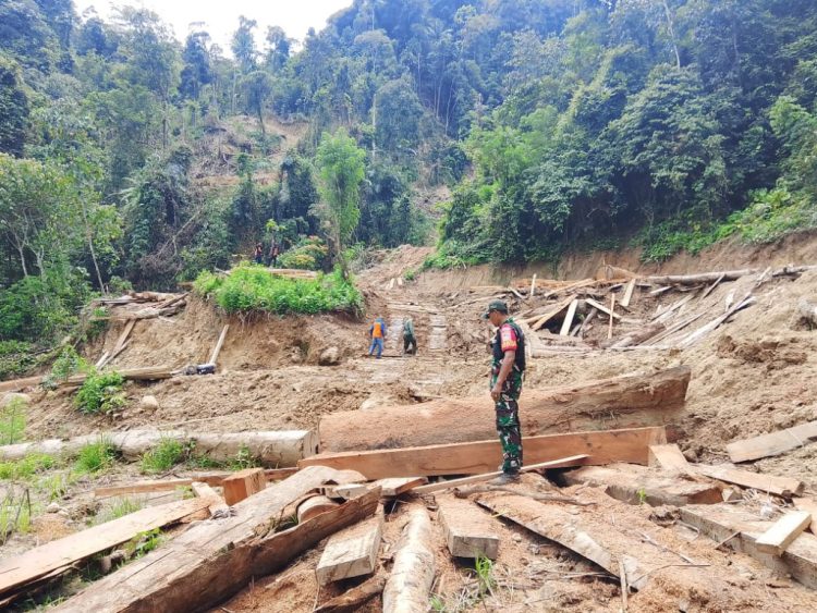 Dishut Lampung Klarifikasi Dugaan Penebangan Lahan di Pesisir Barat
