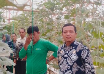 Bupati Pringsewu Tinjau Inovasi Melon Hidroponik di Sukoharjo