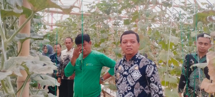 Bupati Pringsewu Tinjau Inovasi Melon Hidroponik di Sukoharjo