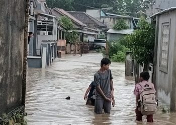 Gerak Cepat Bupati Pringsewu Tinjau Lokasi Banjir Usai Hujan Ekstrem