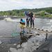 Pakan Berbasis Serangga Jadi Solusi Baru Industri Udang Nasional