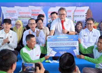 Harga Gabah Dijaga di Atas Rp6.500, Petani Lampung Selatan Diuntungkan
