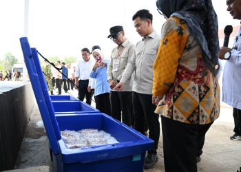KNMP Desa Margasari Jadi Fokus Kunjungan Wapres Gibran