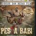 Film Pesta Babi Hadir di Lampung, Angkat Isu Lingkungan hingga Dampak Pembangunan