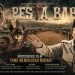 Kontroversi Film Pesta Babi, Ruang Diskusi Akademik Jadi Sorotan Publik