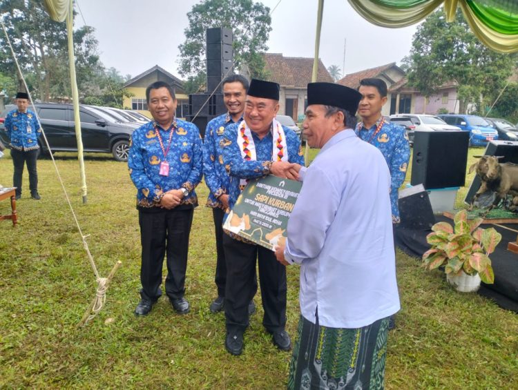 Bazar Hewan Qurban Tanggamus Resmi Dibuka, Peternak Lokal Kebanjiran Pembeli